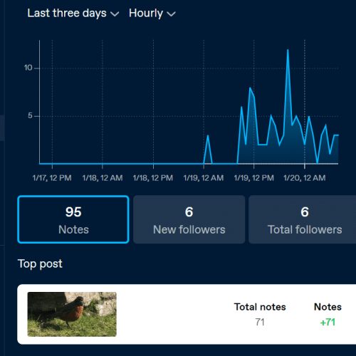 screenshot of Tumblr stats that lists all engagement